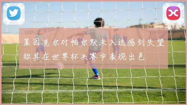 莱因克尔对帕尔默未入选感到失望称其在世界杯决赛中表现出色