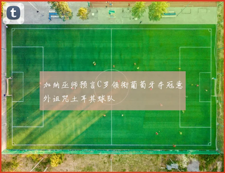 加纳巫师预言C罗领衔葡萄牙夺冠意外诅咒土耳其球队